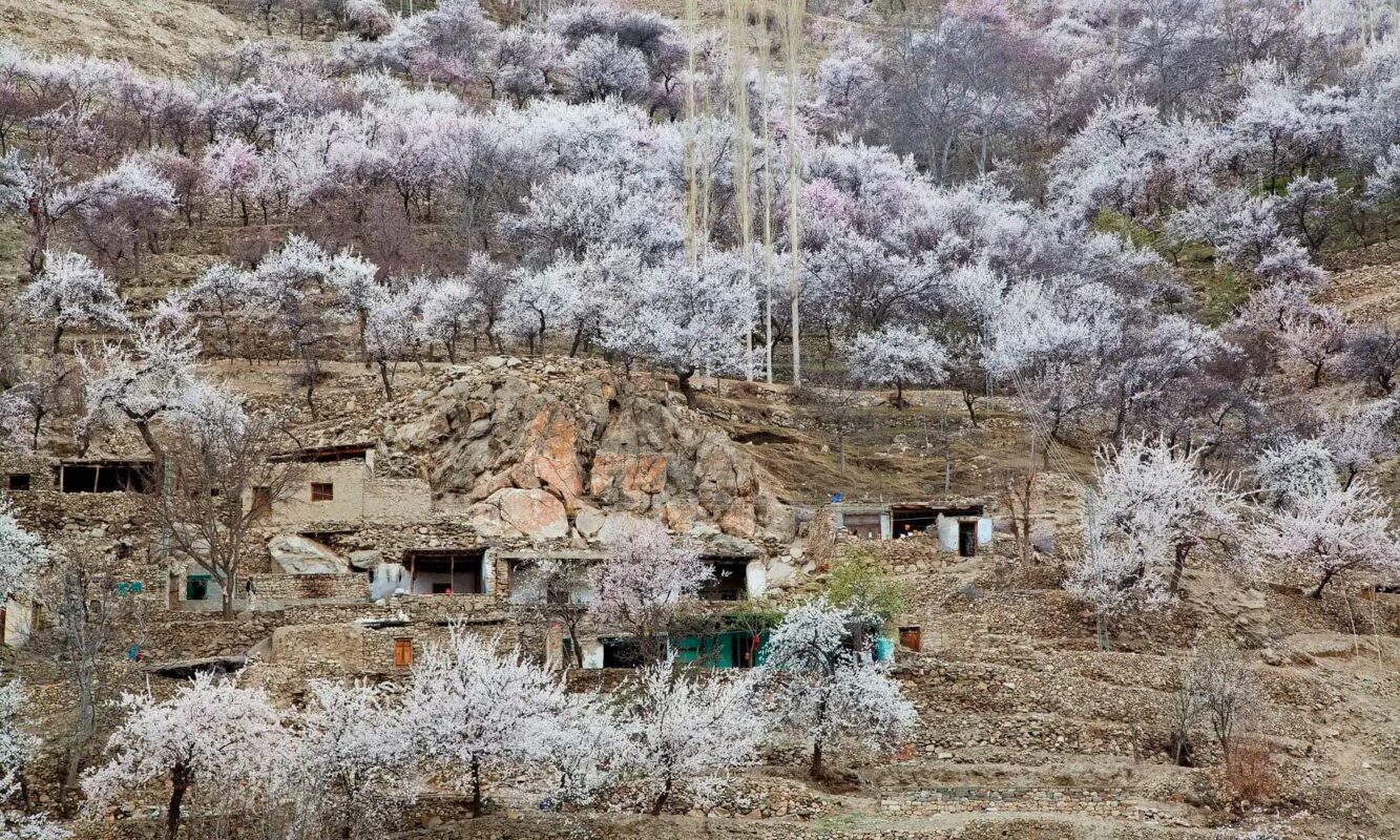 Trip To Beautiful Kashmir