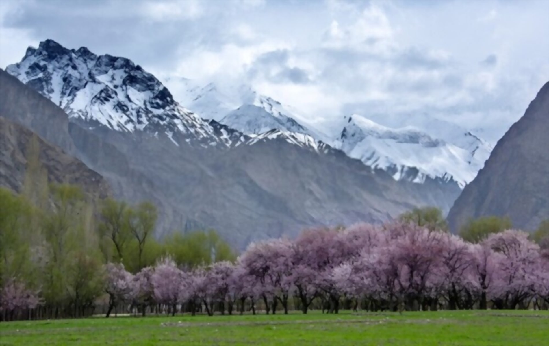 Trip To Beautiful Kashmir